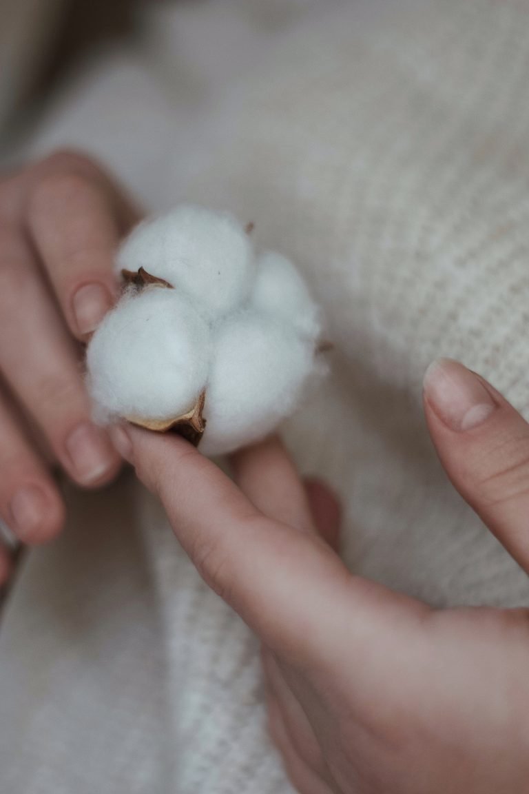 Farmforce Hands holding a cotton plant with a white sweater in the background.