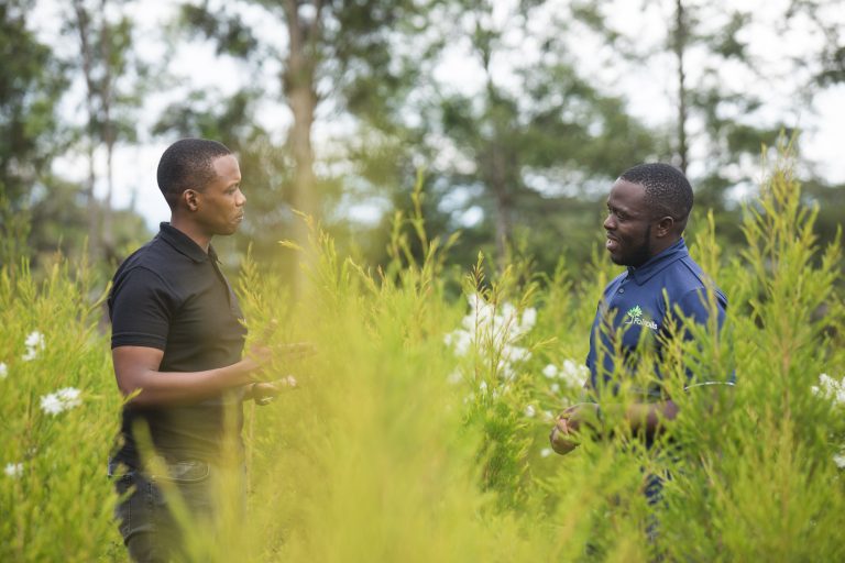 Farmforce Rodney on an essential oils farm discussing with a farmer. Grass in the foreground.