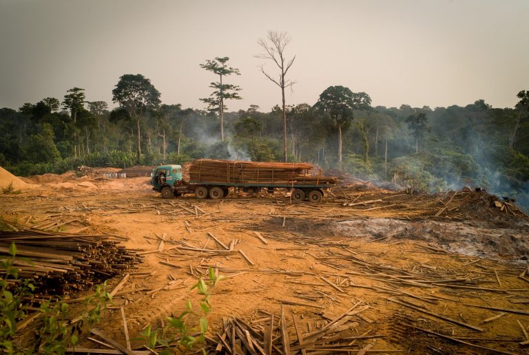 A full logging truck drives through a deforested area.