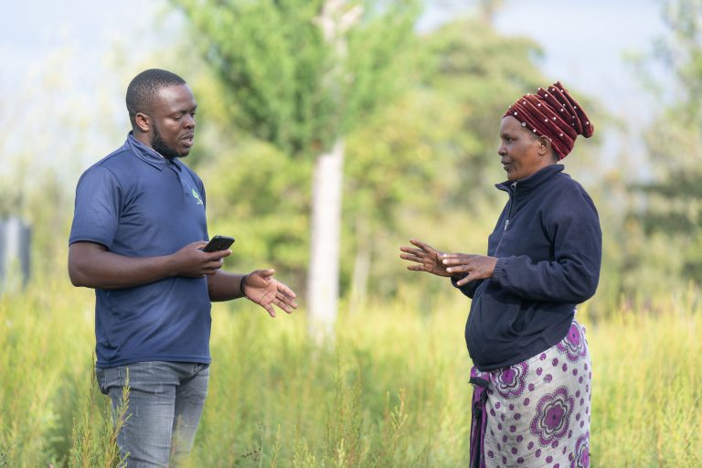 Farmforce Two men looking at a phone or tablet while farming and producing.