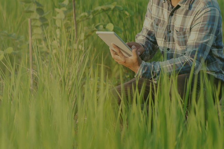 Farmer with tablet amongst green grass.