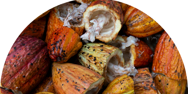 farmforce cocoa bean open 2